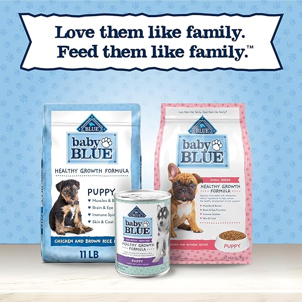 BLUE BUFFALO BABY BLUE NATURAL WET FOOD FOR PUPPIES, HEALTHY GROWTH FORMULA WITH DHA, TURKEY & VEGETABLE RECIPE, 12.5-OZ. CAN