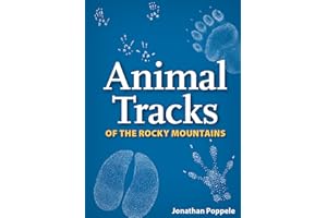 Animal Tracks of the Rocky Mountains Playing Cards (Nature's Wild Cards)