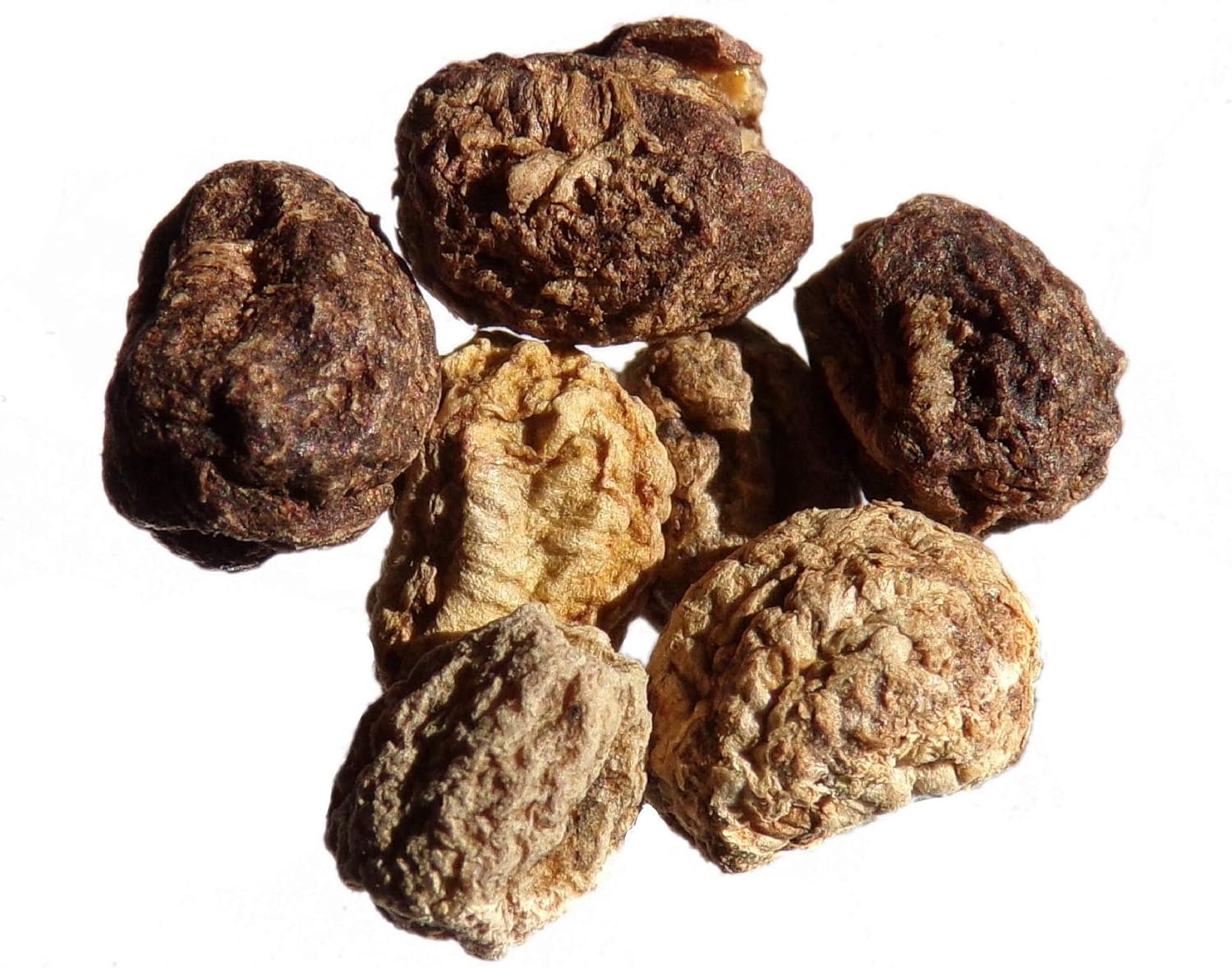 Nasturtium Tropaleum Majus L 7 Seeds Sem02 Fertiliser Green Manual Amazon Co Uk Garden Outdoors