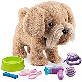 paw pals walking dog