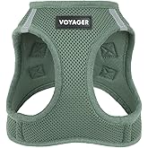 Best Pet Supplies Voyager Step-in Air Harness - All Weather Mesh, Reflective, No Pull Harness for Dogs, Cats - Secure with Hook & Loop Fastener, Buckle, Double D-Rings - Moss Green, S