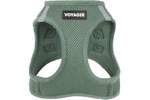 Best Pet Supplies Voyager Step-in Air Harness - All Weather Mesh, Reflective, No Pull Harness for Dogs, Cats - Secure with Hook & Loop Fastener, Buckle, Double D-Rings - Moss Green, XXS