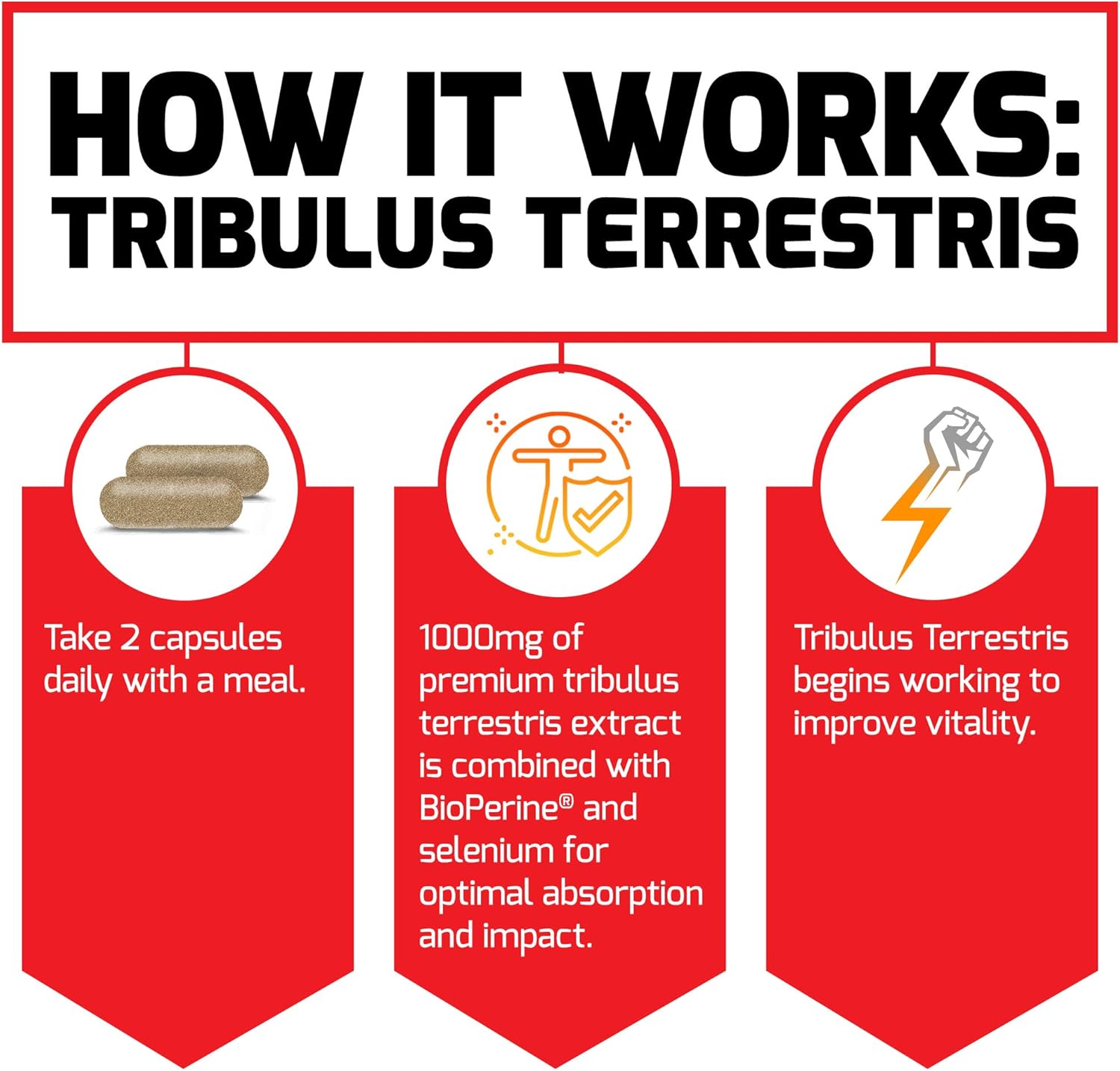 Tribulus Terrestris for Men, Testosterone Booster and Male Vitality Supplement, Tribulus Extract and Natural Ingredients for Superior Absorption, Fundamentals Series, 1000mg, Force Factor, 60 Capsules: Health & Personal Care