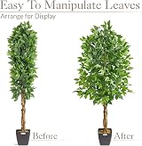 CHRISTOW Artificial Ficus Tree 5ft Lifelike PEVA Leaves Natural Wooden Trunk view 6