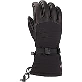 Gordini mens Men's Polar Ii Waterproof Insulated Gloves