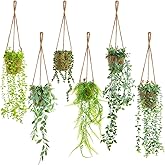 Giegxin Fall Mini Hanging Artificial Plant with Woven Basket Boho Fake Plants Ivy Faux Vines Eucalyptus Leaf for Thanksgiving Indoor Home Wall Shelf Decor(6 Set,Green,Artificial Hanging Plants)
