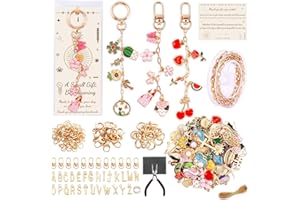 TOHONGADON 285 Pcs Keychain Making Kit, Bag Charm Kit with 92 Charms, 22 Keychain Clips, Key Ring Jewelry Plier, Extender Chain, Letter Beads for DIY Crafting and Jewelry Making
