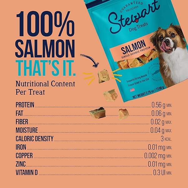 STEWART WILD SALMON DOG TREATS, 2.75 OZ, ~55 PIECES, FREEZE DRIED RAW, SINGLE INGREDIENT, 65% PROTEIN TRAINING TREATS OR MEAL TOPPER IN A RESEALABLE POUCH, GRAIN FREE, GLUTEN FREE