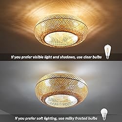 20" Boho Ceiling Fans with Lights and Remote