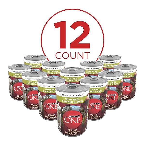 PURINA ONE HIGH PROTEIN WET DOG FOOD TRUE INSTINCT TENDER CUTS IN DOG FOOD GRAVY WITH REAL CHICKEN AND DUCK – (PACK OF 12) 13 OZ. CANS