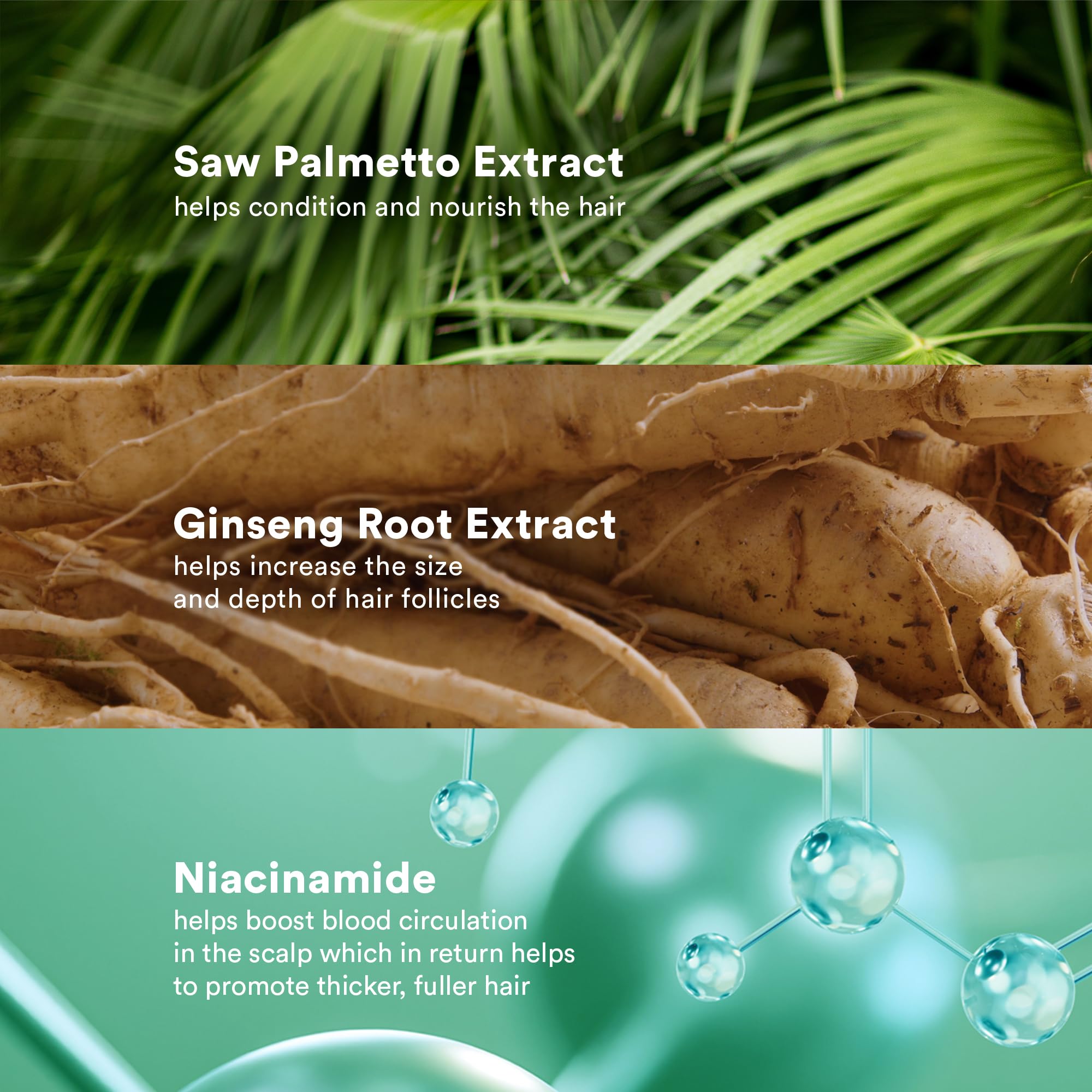 VERB Density Peptide Shampoo - Visibly Thicken + Reduce Signs of Shedding- Moisturizes Fine and Weighed Down Hair