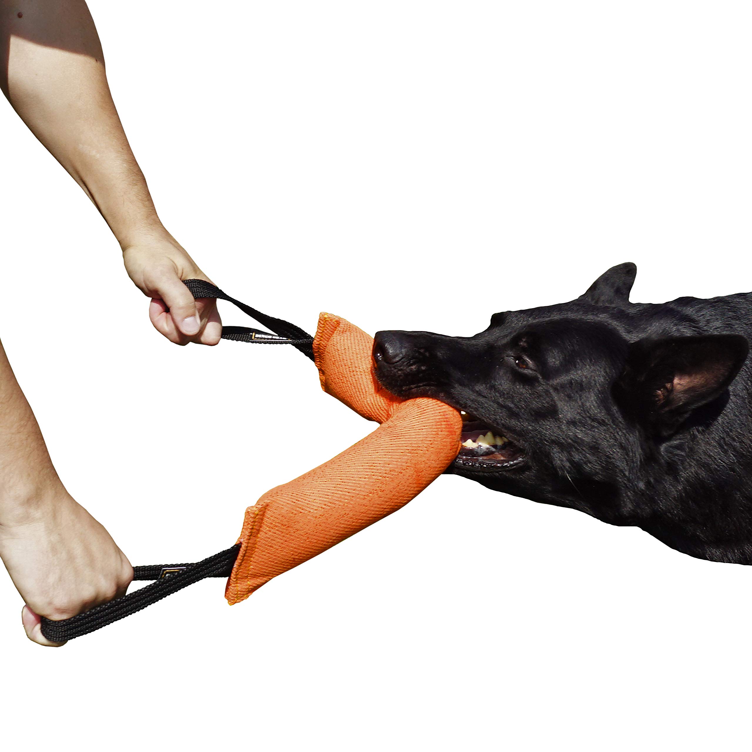 DINGO GEAR Nylcot Bite Tug for Dog Training K9 IGP & Fun, 2 Handles, Orange 45 x 8 cm