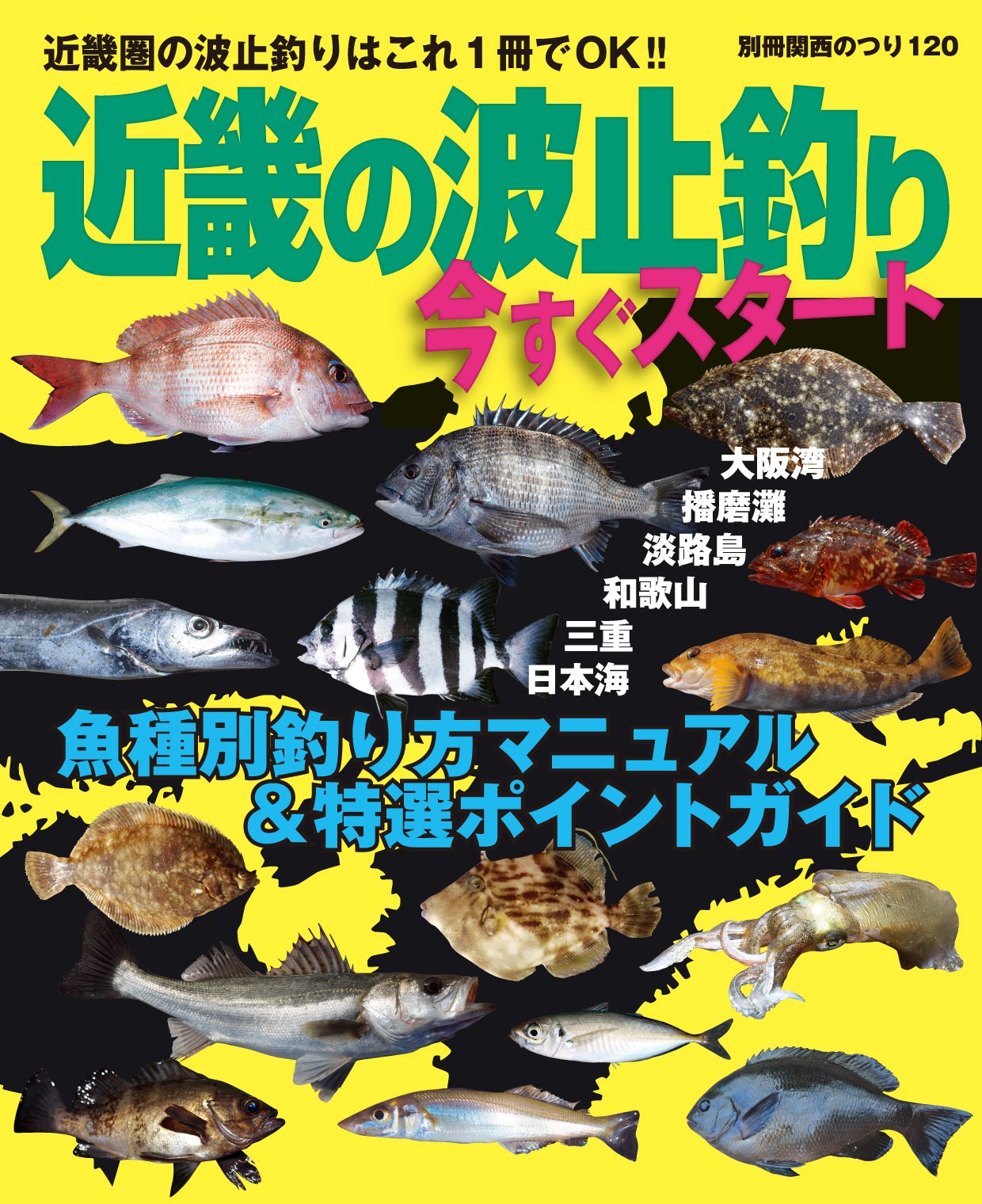 近畿の波止釣り 今すぐスタート 別冊関西のつり 1 本 通販 Amazon