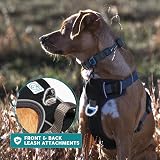 Embark Pets Urban Dog Harness No-Pull Front Back Clips Adjustable view 9