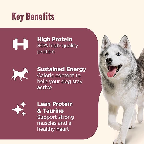 NUTRISH HIGH PROTEIN BEEF, POTATO & PEAS RECIPE WITH VENISON & LAMB DRY DOG FOOD, 4 LB. BAG, PACKAGING MAY VARY (RACHAEL RAY)