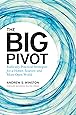 The Big Pivot: Radically Practical Strategies for a Hotter, Scarcer, and More Open World