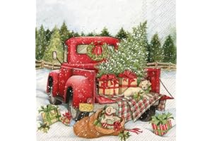 BOSTON INTERNATIONAL IHR Ideal Home Range 3-Ply Holiday Paper Napkins, 20-Count, 6.5" x 6.5", Christmas Delivery
