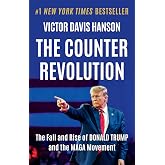 The Counterrevolution: The Fall and Rise of Donald Trump and the MAGA Movement