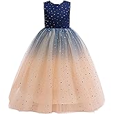 Glamulice Princess Sparkle Tulle Dress Flower Girls Ombre Dresses Bridesmaid Wedding Pageant Party Holiday Ball Gown