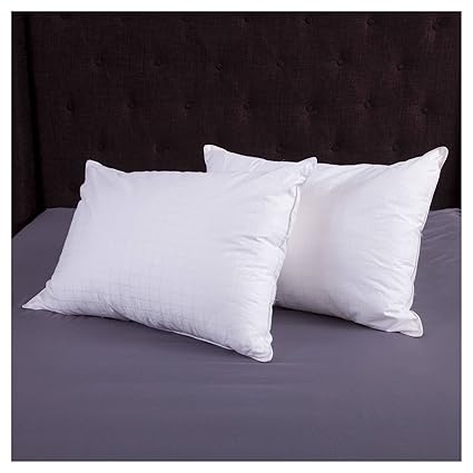 Amazon Com Candice Olson Down Alternative Pillow 2 Pack Soft