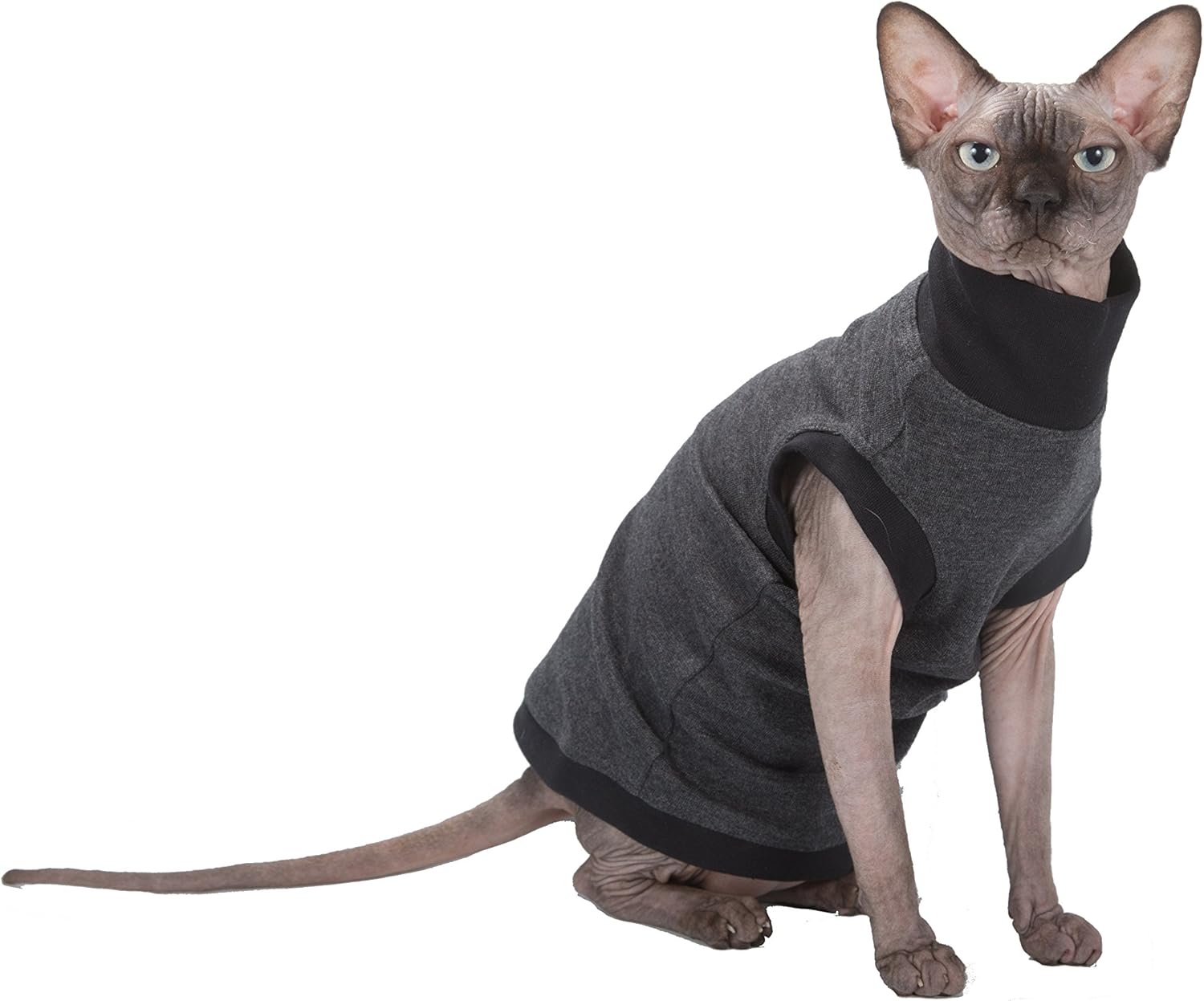 cat turtleneck