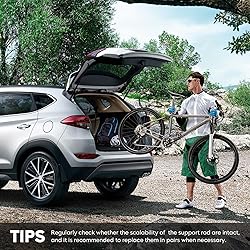 Rear Hatch Trunk Liftgate Lift Supports Tailgate