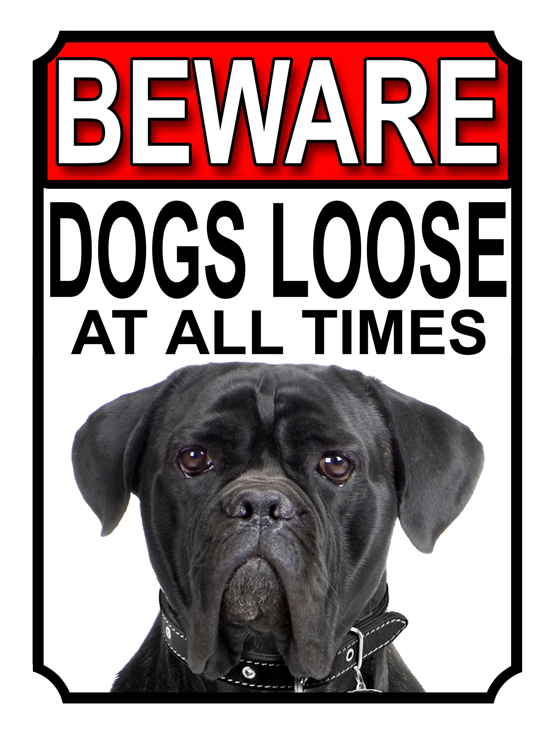 SHAWPRINT BEWARE DOGS LOOSE AT ALL TIMES METAL SIGN CANE CORSO 200MM X 150MM (991H1)