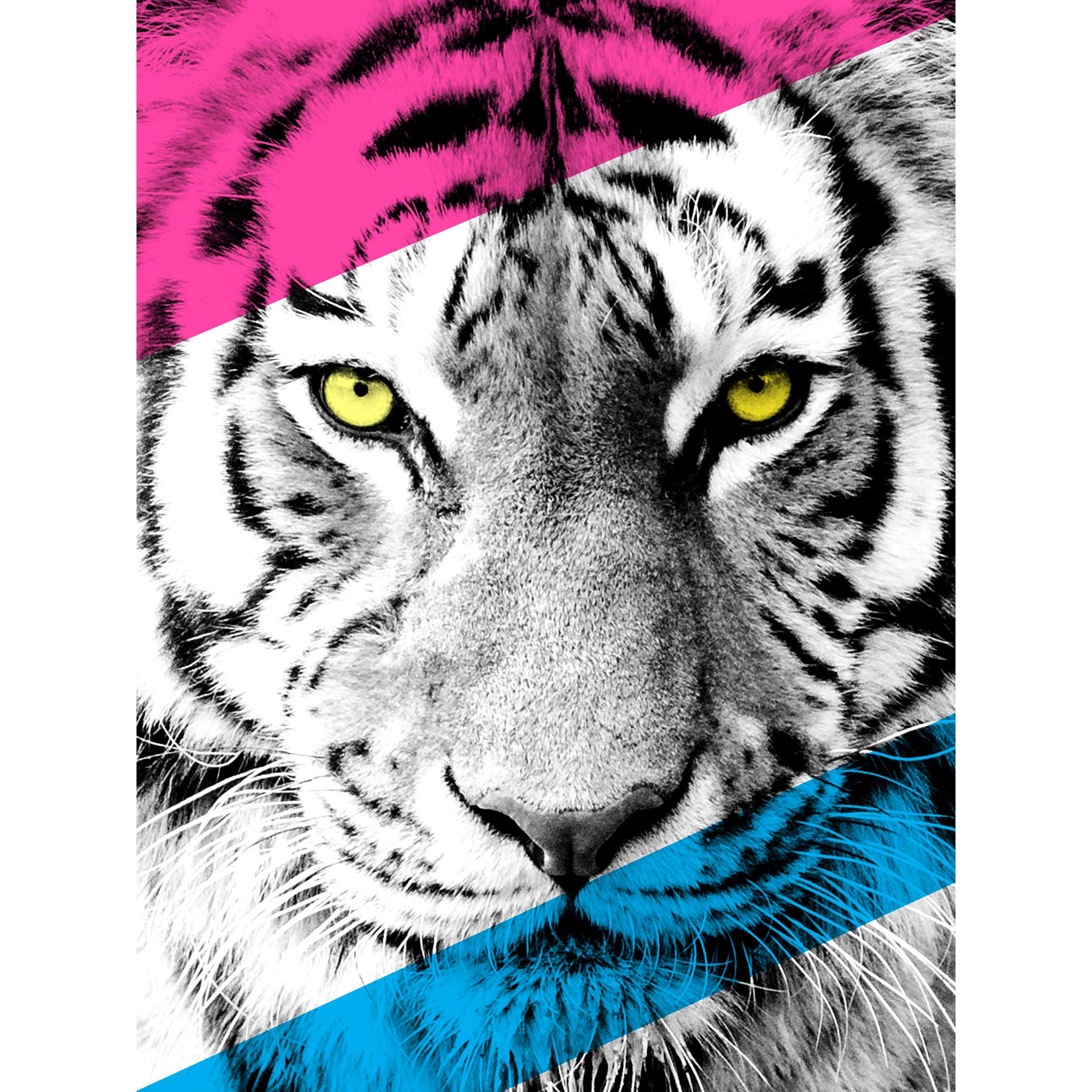 Wee Blue Coo Contemporary Bold CMYK Tiger Large Wall Art Print Canvas Premium Poster