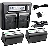 Kastar 2 Pack Battery and LCD Dual Fast Charger for