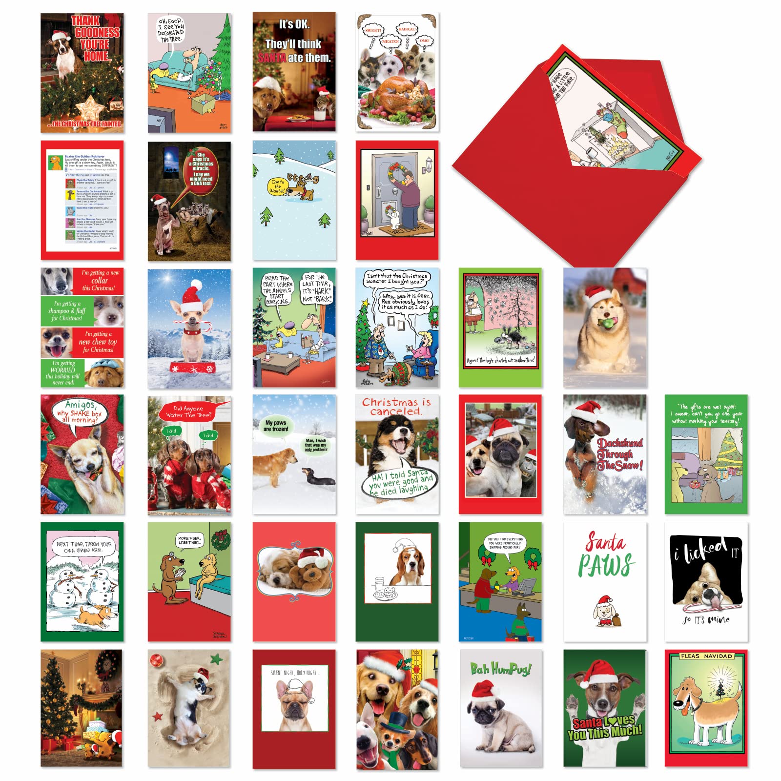 NobleWorks - Variety Pack of 36 Assorted Bulk Box Set Humorous Greeting Cards w/Envelopes, Cartoons Animal Pet Funny Holiday for Dog Lovers (36 Designs, 1 Each) - Dog Holly Days AC3439XSG-B1x36