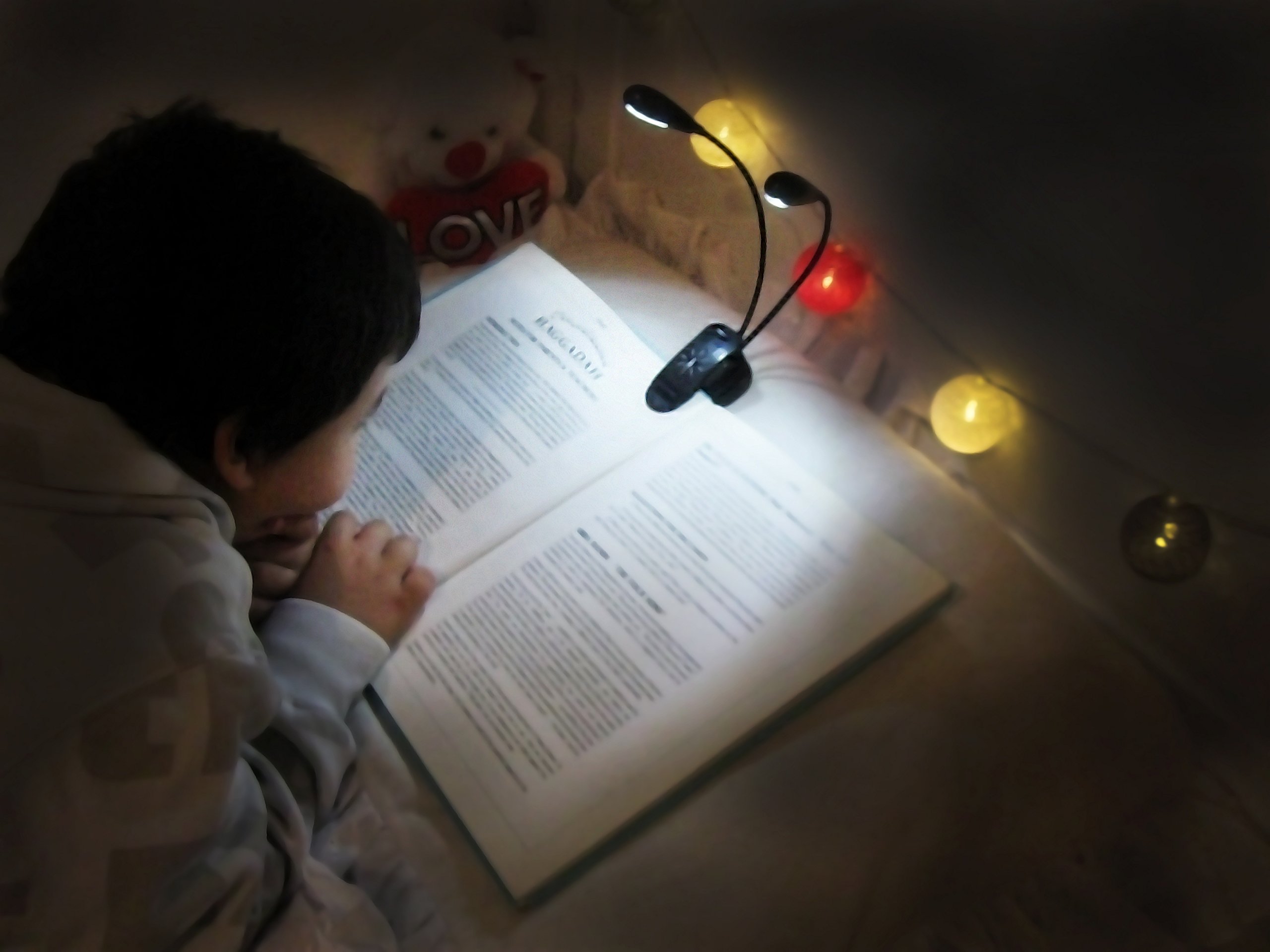 iLight Rechargeable Eye-Care Warm Book Light, Clip On Bed Reading Light, Music Stand Lamp, 8 LED, 5 Brightness, 2 Goosenecks Light Up 2 Full Pages. Perfect For Bookworms, Reading, Working or Studying