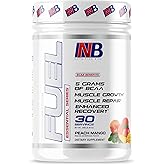 NutritionBizz BCAA Powder, 5 Grams of BCAAs Amino Acids, Post Workout Recovery Drink for Muscle Building, Recovery, and Endurance, 30 Servings (Peach Mango)