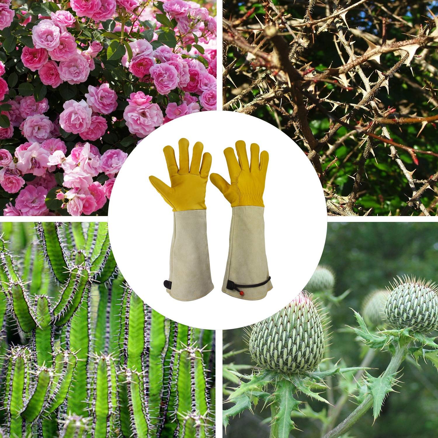 Gardening Gloves, Professional Puncture Proof Gloves for Rose Pruning & Cactus Trimming, Long Leather Garden Gloves Gifts for Women & Men- Full Grain Cowhide & Pigskin (Thorn Proof) (Medium): Clothing