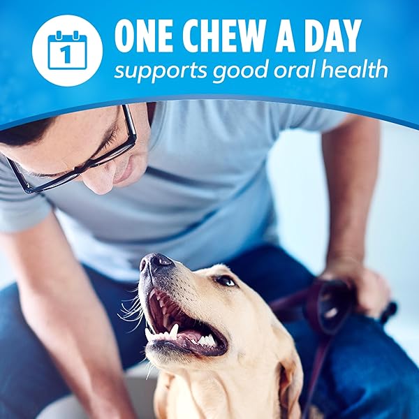 DENTALIFE DAILY ORAL CARE DOG TREATS FOR LARGE DOGS 40 PLUS LBS., CHEWY DENTAL TREAT TO FRESHEN BREATH AND FIGHT TARTAR, CHICKEN FLAVOR, 36 OZ. EACH, 30 CHEWS EACH/60 TOTAL CHEWS – 30 CT. POUCH
