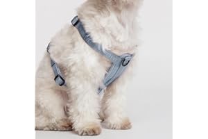 2026 New Edition, Fei & Eve Moxie H-Shape Dog Harness, Dusk Blue, Medium | Ultra-Lightweight & Durable Design | Easy On-Off |