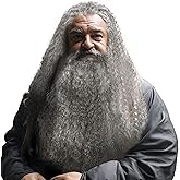HOMELEX Grey Wizard Beard And Wig - Halloween Funny Father Time Costume Accessory for Adults