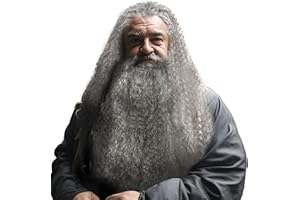 HOMELEX Grey Wizard Beard And Wig - Halloween Funny Father Time Costume Accessory for Adults