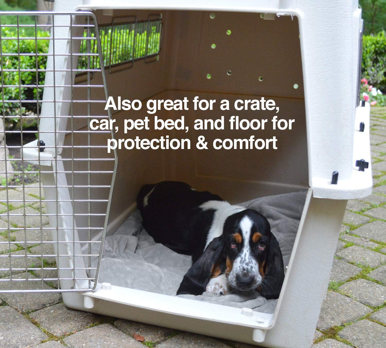 PetFusion Premium Pet Blanket, Multiple Sizes for Dogs & Cats. [Reversible Micro Plush]. 100% Soft Polyester, Gray, Medium (44 x 34) (PF-PB2A) : Pet Supplies