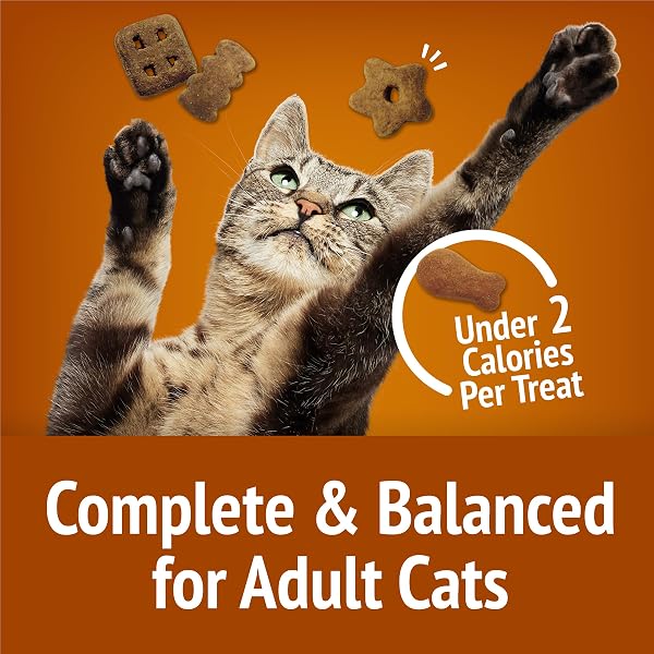 PURINA FRISKIES CAT TREATS, PARTY MIX CHICKEN LOVERS CRUNCH – 20 OZ. POUCH