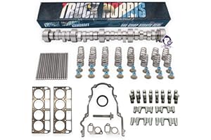Dynosty BTR TRUCK NORRIS Cam Kit with Pushrods Delphi Lifters, Trays, Head Gaskets LS 4.8 5.3