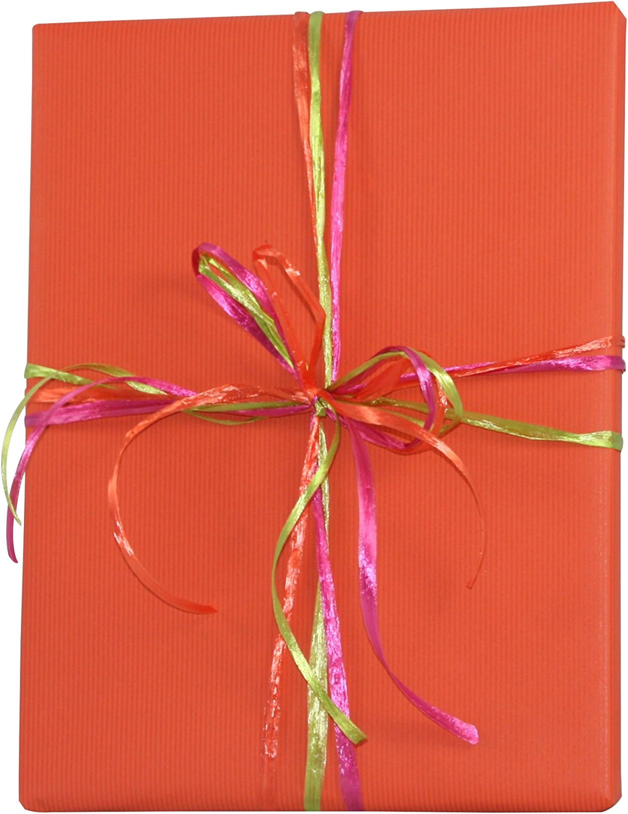Premium Kraft Gift Wrap Paper Roll - Solid Matte - 50 Sq Ft (Terra Cotta)
