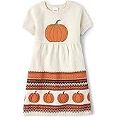 Gymboree Girls and Toddler Short Sleeve Sweater Dresses