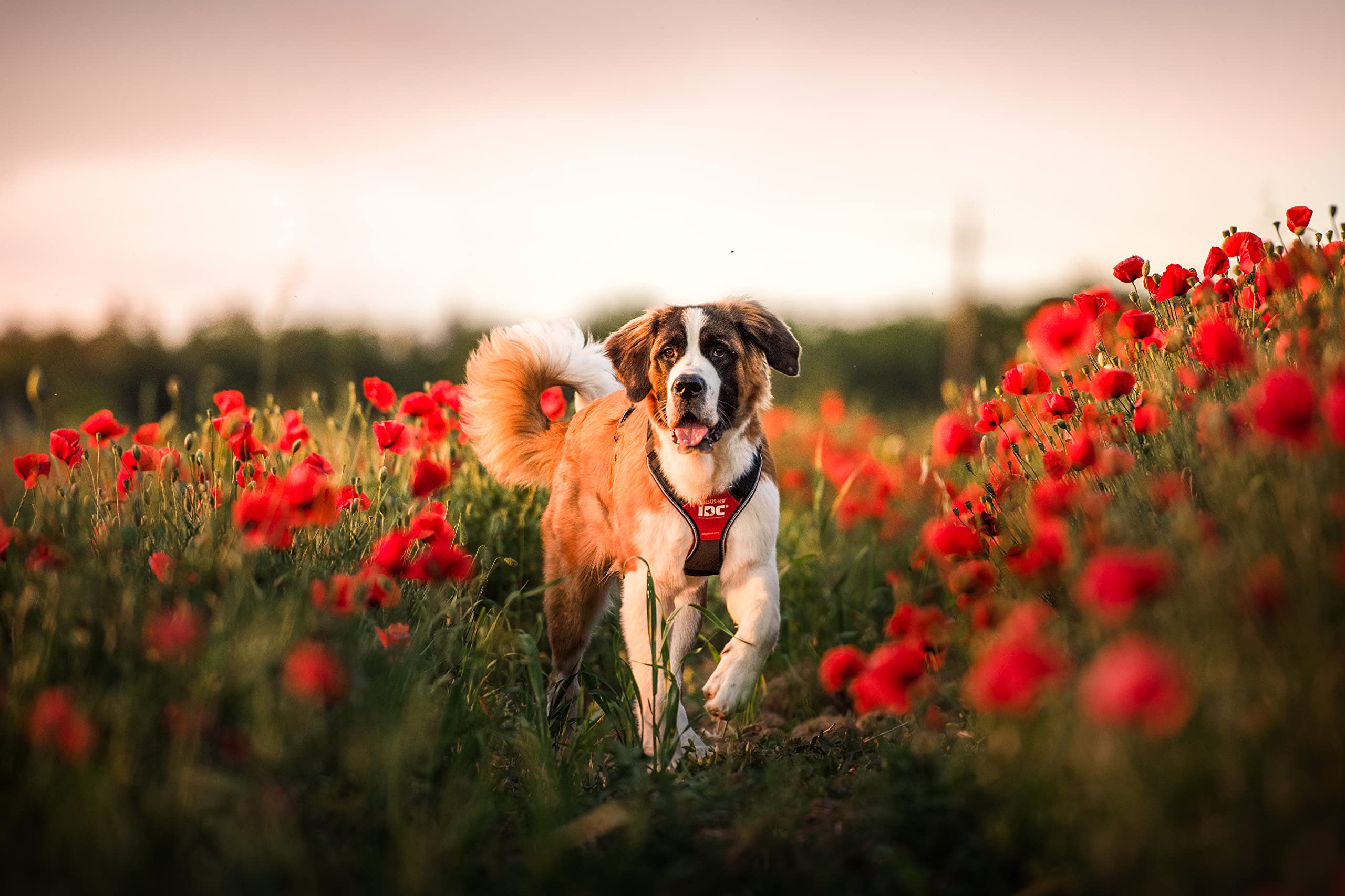 View 7
