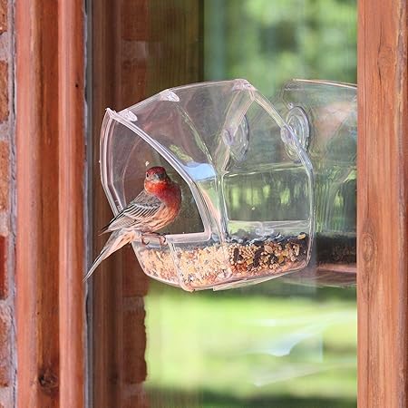 Amazon Com New Birdscapes Clear Window Squirrel Proof Bird