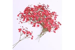 LYFORTZY 30 Pcs Red Baby's Breath Real Dried Pressed Flowers.Vacuum-Packed Mini Dried Baby's Breath Flowe Specimen +1 Tweezers, for Resin Art /DIY Making Wedding Card/ Home Party Decor.