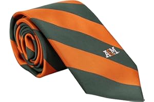 Desert Cactus Florida A&M University Tie FAMU Rattlers 100% Polyester with Logo Officially Licensed (Style A)