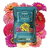 Zinnia Seeds for Planting Outdoors - ~1,500