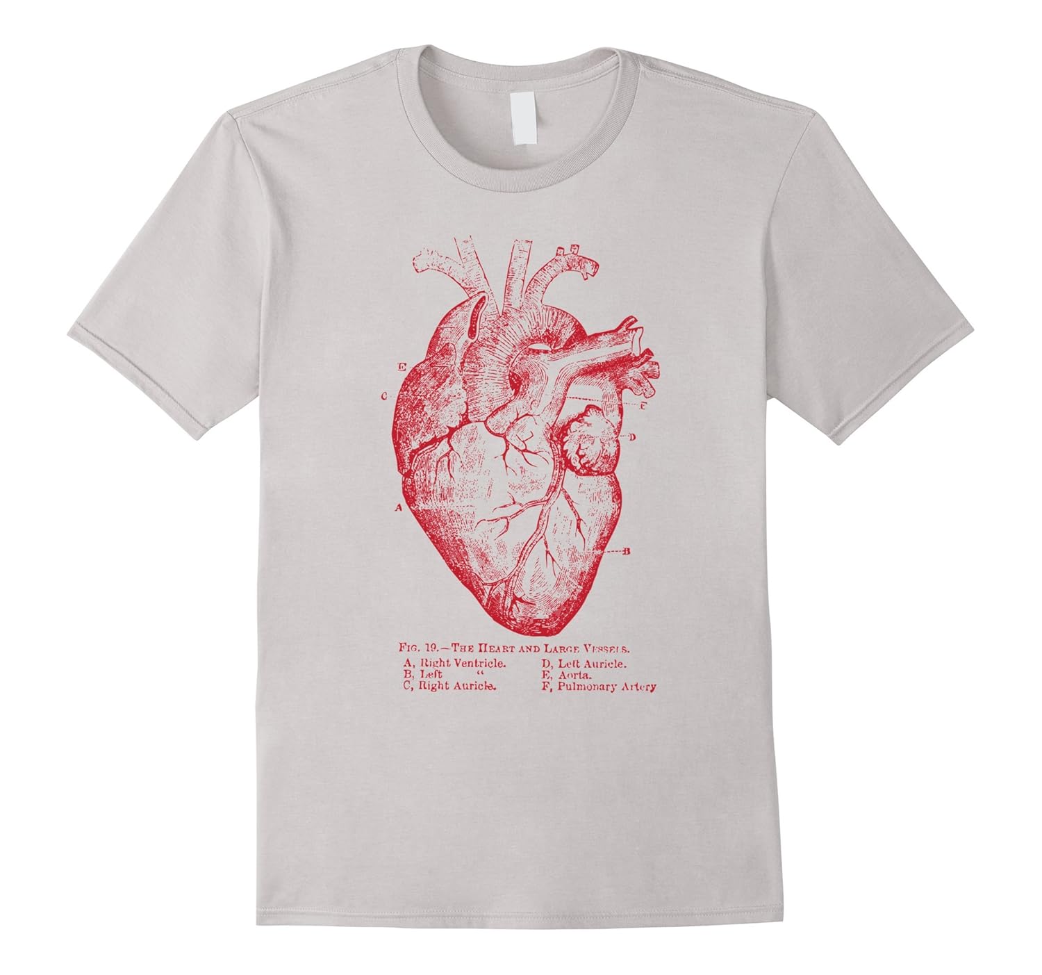Anatomical Heart TShirt Anatomy IllustrationCL Colamaga