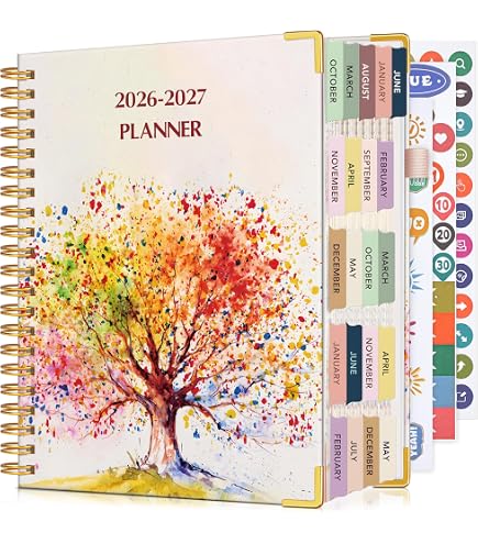 2024 Hardcover Planner - November 2023 To December 2024, 8.5x11 Daily Weekly Monthly, Black Gold