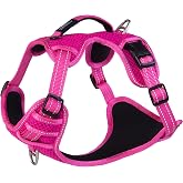 Explore Harness Medium - Pink